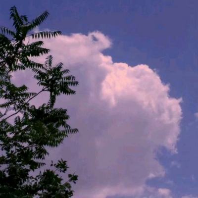 屠魔收割手游下载